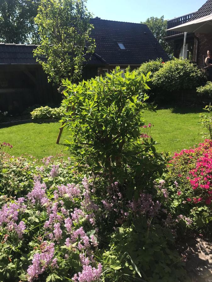 Heidenest Leilighet Schneverdingen Eksteriør bilde